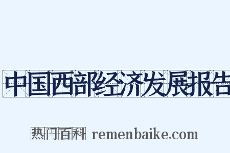 中国西部经济发展报告是什么意思的图片
